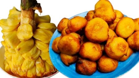 কাঁঠালের পিঠা তৈরির রেসিপি