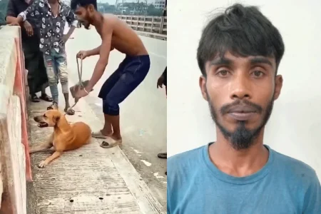 সেতু থেকে কুকুরের গলায় ইট বেঁধে নদীতে ফেলার ঘটনায় যুবক আটক কুকুর