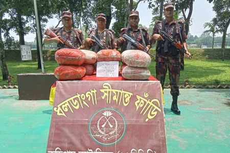 কুড়িগ্রাম সীমান্তে বিজিবির অভিযান, ৫৩ কেজি গাঁজা ও ৫৫টি গরুসহ ২৭ লাখ টাকার চোরাচালানি পণ্য জব্দ জব্দ