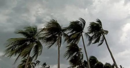 ঝড়ের শঙ্কা
