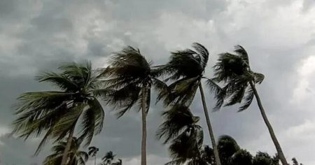 ঝড়ের শঙ্কা