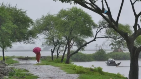 মৌসুমি বায়ু