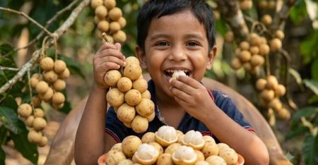 লটকন