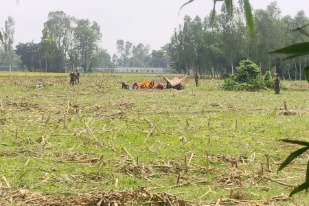 সরিয়ে নিয়েছে
