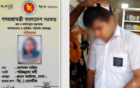 সিংগাইর