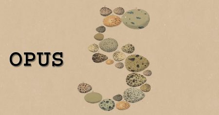 Anthropic Releases Claude Opus 5: Fable-Level AI at Half the Price Claude Opus 5 Anthropic