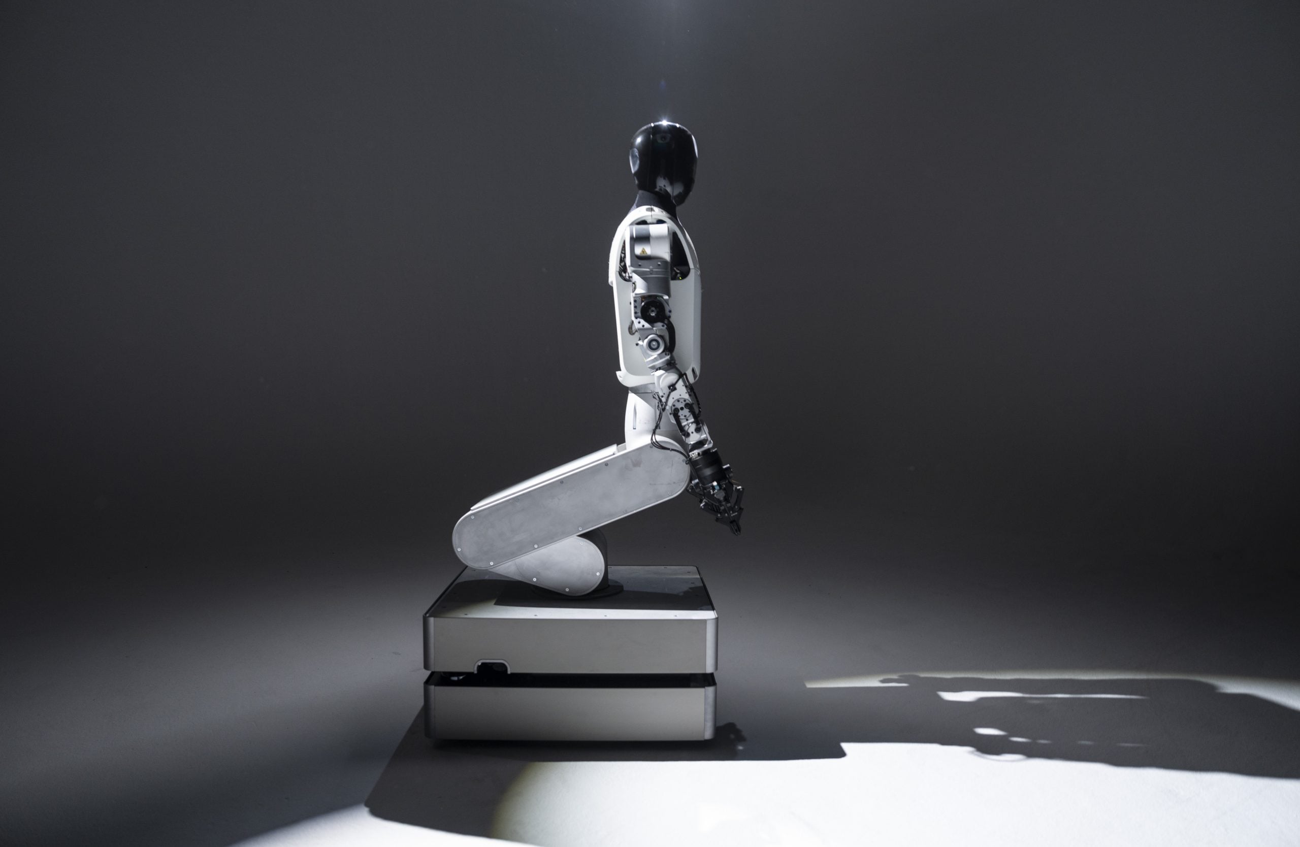 Humanoid