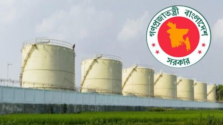 জ্বালানি তেলের মজুত