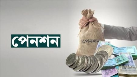 পেনশন রক্ষায় প্রধানমন্ত্রীর হস্তক্ষেপ কামনা পেনশন রক্ষায়