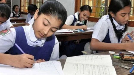 প্রাথমিক বৃত্তির ফল প্রকাশের সময় জানালো অধিদফতর প্রাথমিক বৃত্তির ফল
