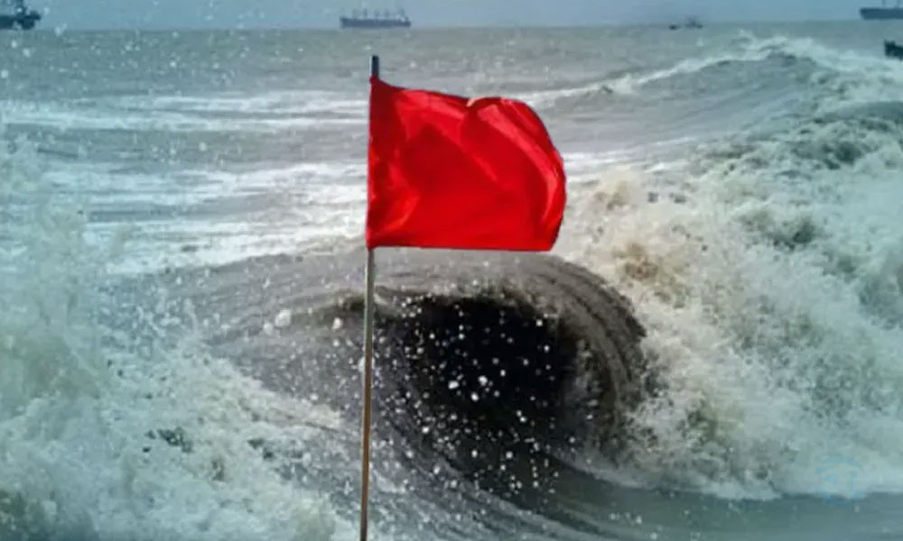 Sagor