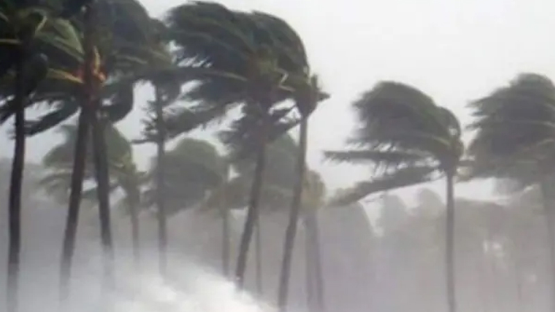 Storm