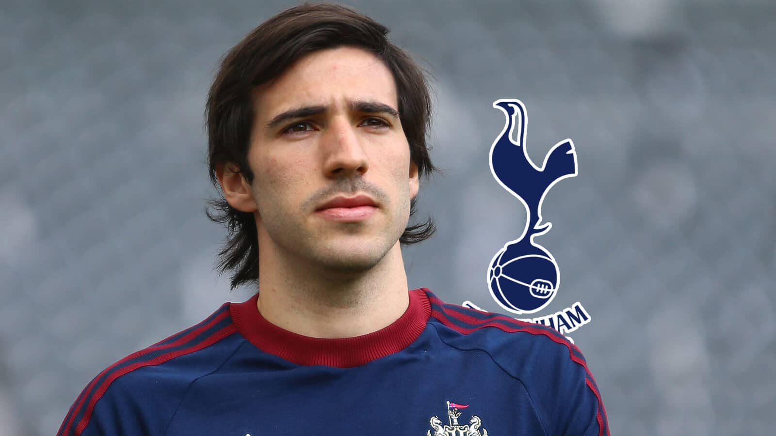 Tonali Tottenham transfer