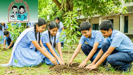 ১৫ জুলাই সব সরকারি প্রাথমিক বিদ্যালয়ে পাঁচটি করে গাছ লাগানোর নির্দেশ Tree