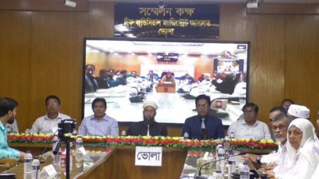 বাধ্যতামূলক মধ্যস্থতা