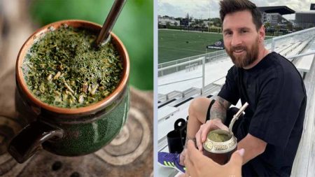 yerba-mate