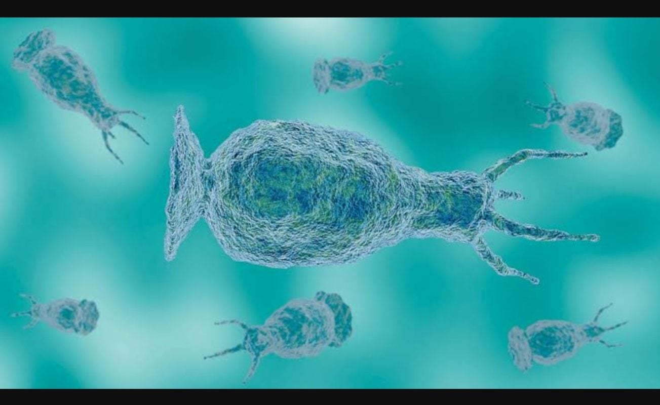 North Carolina Teen Critically Ill With Rare Naegleria Fowleri Infection