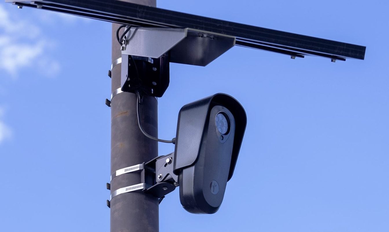Flock cameras