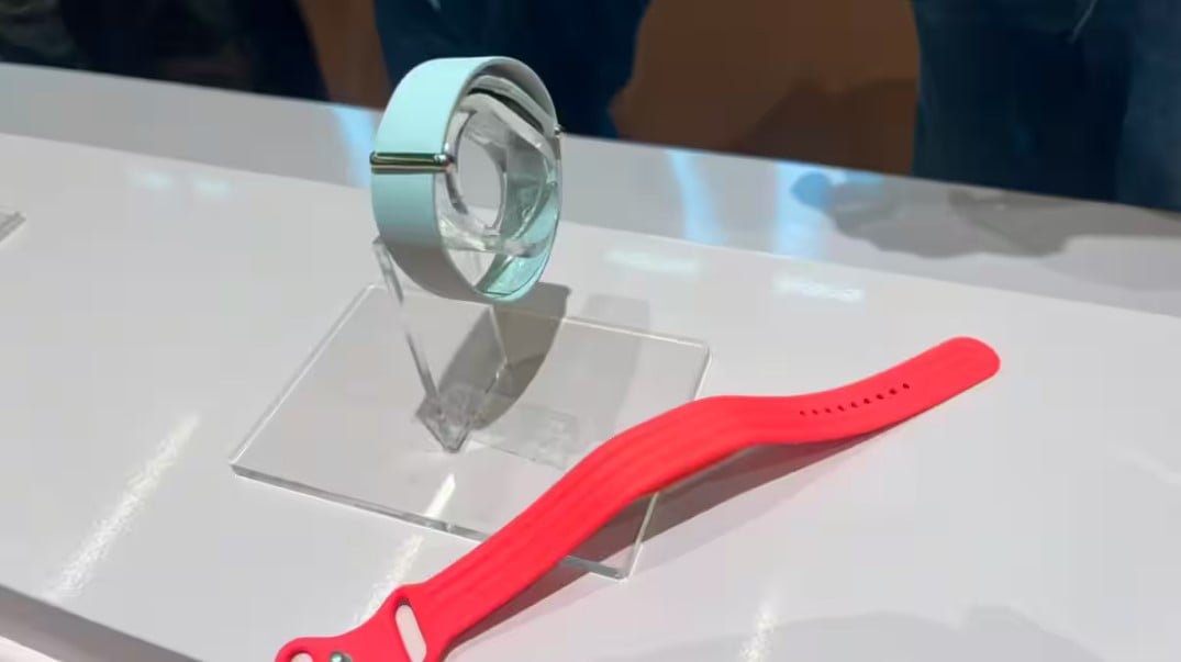 Google Fitbit Air India launch