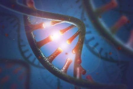 RNA droplets early life