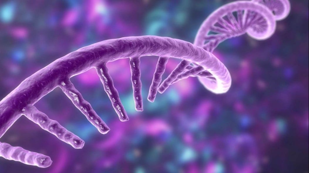 hidden on switch human DNA