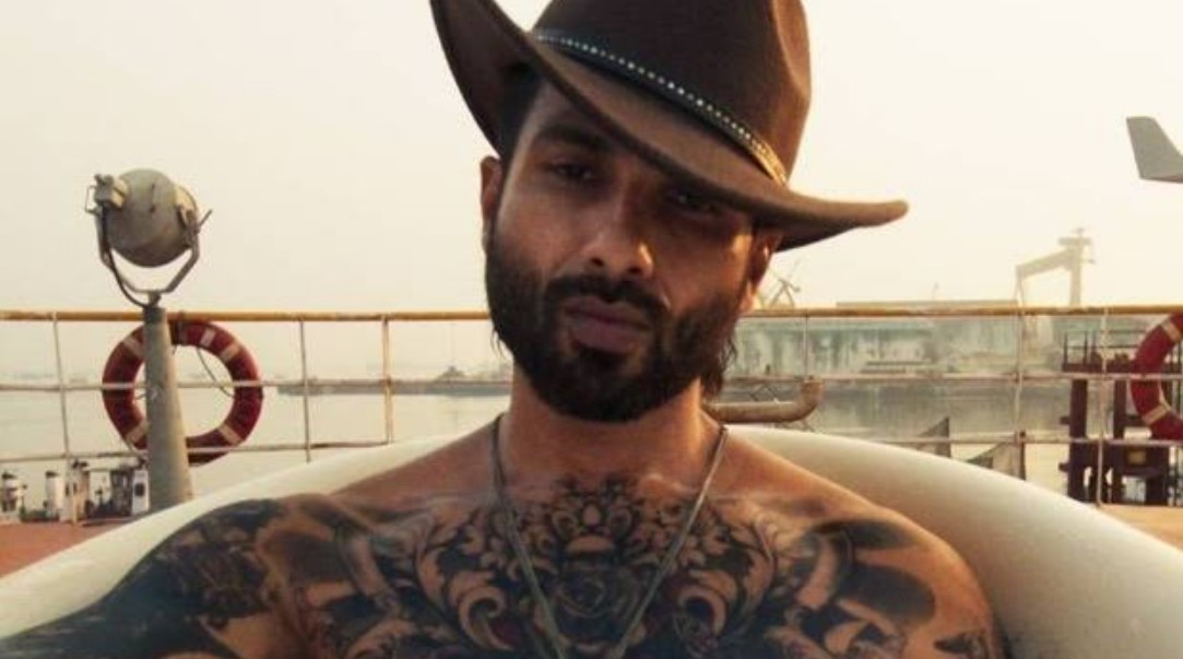 Shahid Kapoor box office