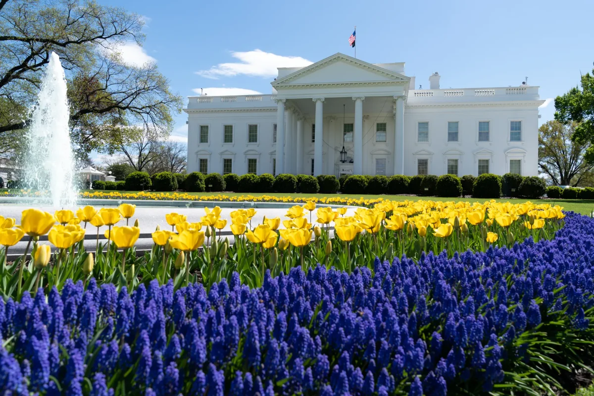 White House