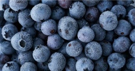blueberry recall