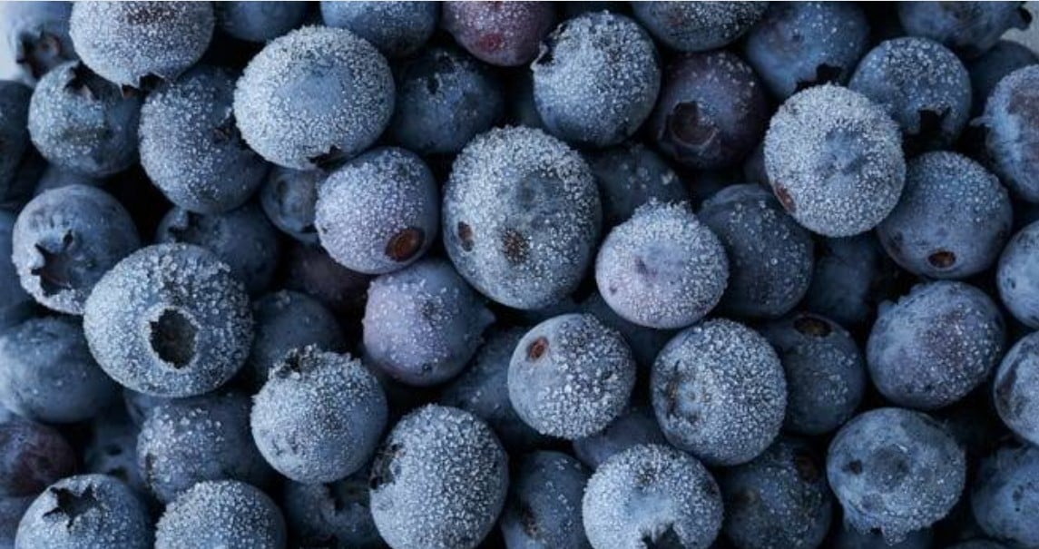 blueberry recall