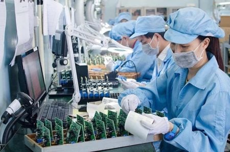 chip material production in Vietnam